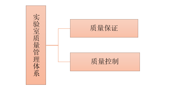 实验质量.PNG