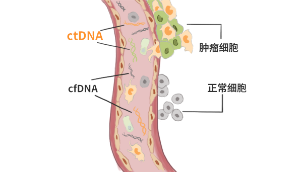 ctDNA.png