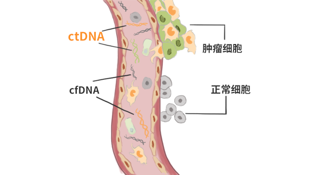 ctDNA.png ctDNA.png