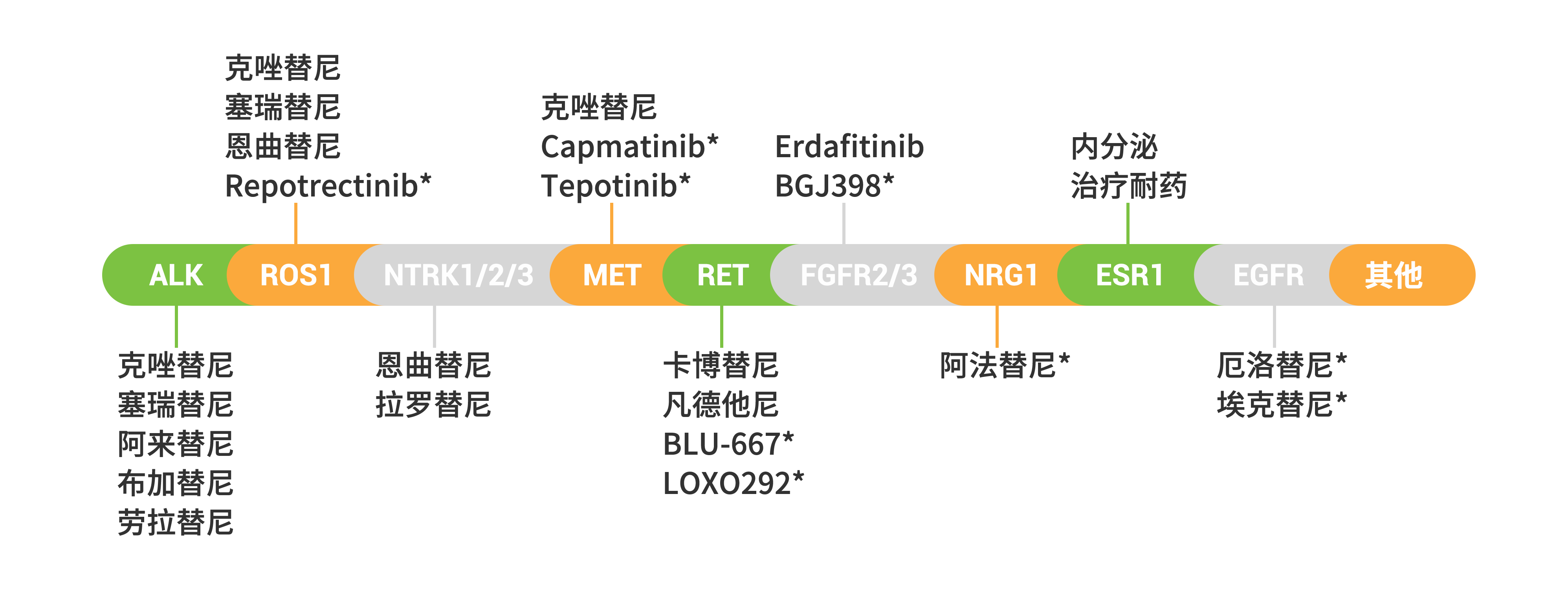 靶向药.png