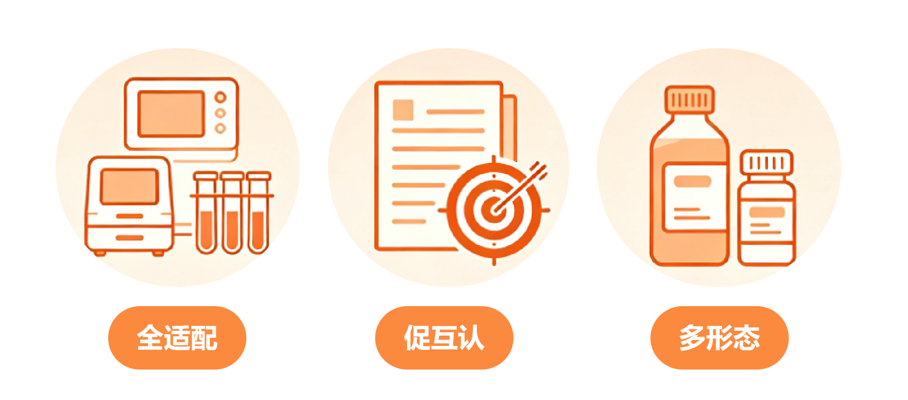 图片13.png